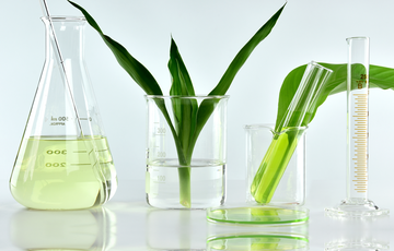 Renewable chemicals