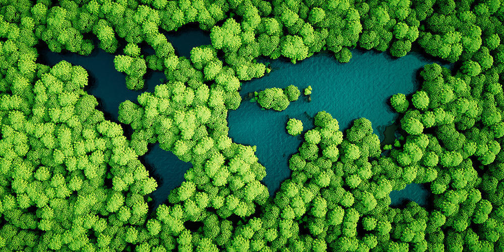 Environmental sustainability